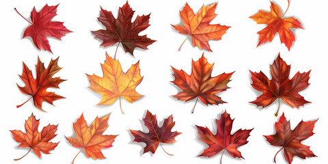 a background with autumn leaves, colorful maple leaves