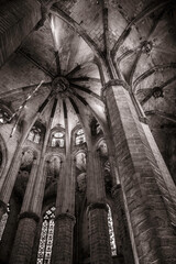 cathedral interior 