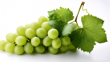 A bunch of fresh green grapes on a white background