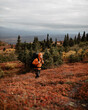 © Joel Forsman/Stocksy - hiking man in alaska