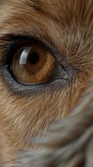 Wall Mural - A close-up of a dog's eye. AI.