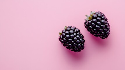 Two blackberries on pink background.