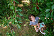 © Olena Smyrnova/Stocksy - Two children picking red cherries from a tree in the garden