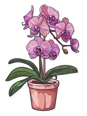 Poster - Pink orchid in a brown pot with green leaves.