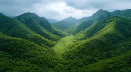 Wall Mural - Lush green mountain landscape with winding path