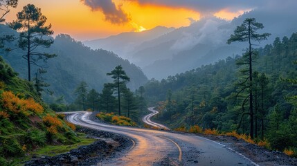 Wall Mural - Scenic Winding Road Through Misty Mountain Landscape