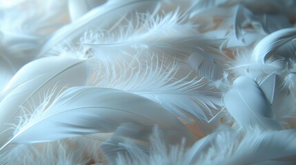 Wall Mural - Close-up of soft white feathers, highlighting their delicate texture and gentle appearance, evoking a sense of lightness.