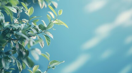 Sticker - Close-up of vibrant green leaves against a clear blue sky, capturing the freshness and beauty of nature.