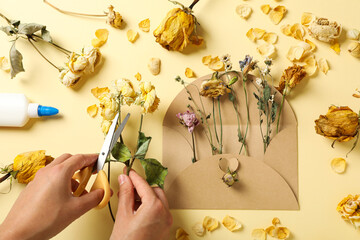 Wall Mural - Set of dried flower petals, envelope, glue and scissors in hands on beige background, top view