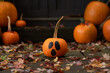 © Melanie DeFazio/Stocksy - Pumpkins in the fall