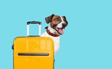 Wall Mural - Cute smart dog with travel suitcase