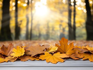 Wall Mural - close-up of autumn leaves on the ground, sunlight filtering through trees, nature background with co