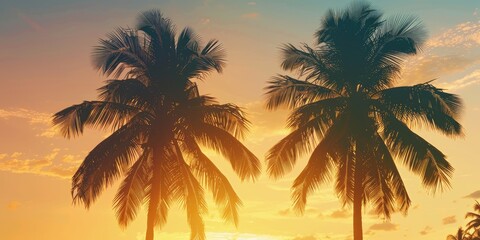 Wall Mural - Coconut palm trees silhouetted against the golden evening sky