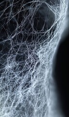 A close up of a spider web on a black background