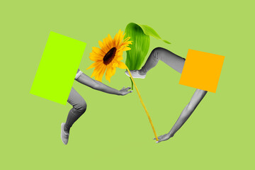 Wall Mural - Creative collage picture human body fragments legs hands sunflower blossom summertime season bloom drawing background environment leaf