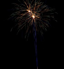 Poster - Long exposure shot of vibrant fireworks in the night sky for the 4th of July