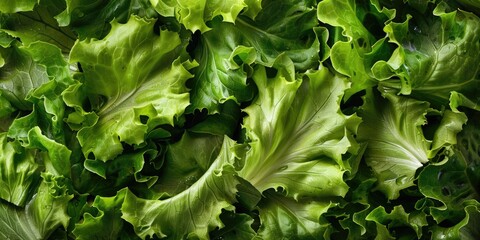 Canvas Print - The extremely nutritious green salad