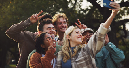 Poster - Happy, friends and selfie with peace outdoor on school break, bonding and social media post in summer. Smile, people and students with profile picture update for care, support and reunion at park