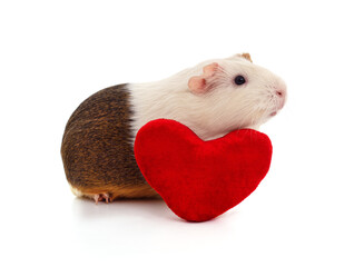 Sticker - Guinea pig and heart.