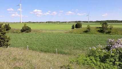 Canvas Print - Summer landscape with lilac bush and wind turbines on a field