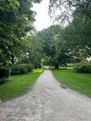 Sticker - Beautiful view of park with pathway and trees outdoors