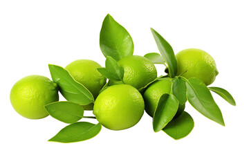 Wall Mural - A Bountiful Harvest of Limes Glowing Under the Morning Sun on a White or Clear Surface PNG Transparent Background.