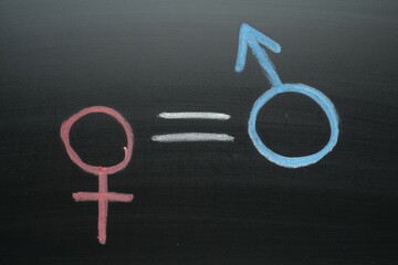 Wall Mural - Equals sign between female and male gender symbols drawn on chalkboard, top view