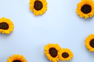 Sticker - Sunflower heads on light grey background, flat lay. Space for text