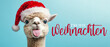 © Corri Seizinger - Frohe Weihnachten Urlaub Winter Hintergrund Grußkarte mit deutschem Text - Witziges Alpaca mit rausgestreckter Zunge und Nikolausmütze Weihnachtsmannmütze, isoliert auf blauem Hintergrund