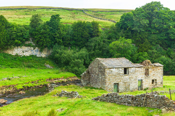 Wall Mural - swaledale in summer with lush green meadows, derelict stone barn or cow house, drystone walling, hig