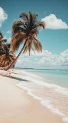 Wall Mural - Palm tree bent over tropical beach, turquoise ocean, sand, blue sky, Seychelles islands