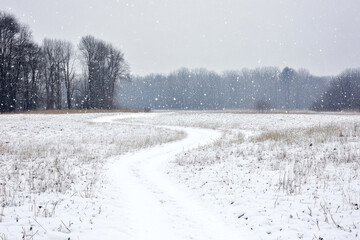 Wall Mural - A winding path through a snow-covered meadow.