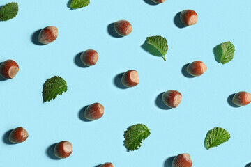 Canvas Print - Shelled hazelnuts with leaves on blue background, closeup