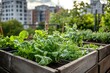 © nuttapong - A vibrant urban garden showcasing fresh greens in wooden planters against a city backdrop, highlighting sustainable living.