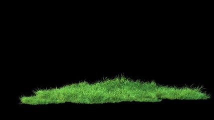 Wall Mural - grass wind noise loop on alpha channel. element footage place on footage or background and easier to