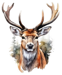 Sticker - PNG Wildlife antler mammal animal.