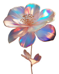 Sticker - PNG Flower petal plant inflorescence.