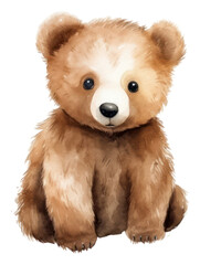 Wall Mural - PNG Mammal bear toy softness.