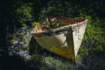 The abandoned ships in a garden