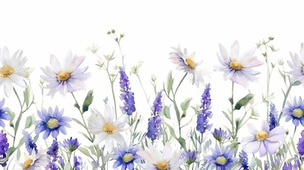 Wall Mural - Watercolor daisies and lavender on white background