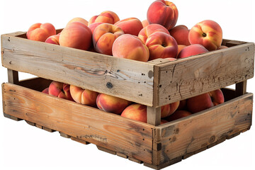 Harvest of fresh, organic peaches in a wooden box, isolated on a white background 