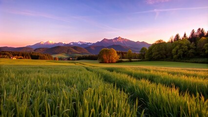 Canvas Print - A picturesque landscape featuring a sprawling green field, majestic mountains in the distance, and a vibrant sunset sky, symbolizing tranquility, growth, natural beauty, hope, and peace.