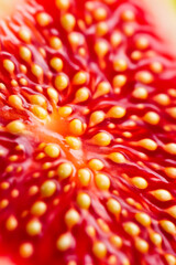 Wall Mural - Macro background of the inside of a ripe fig displaying vibrant red and yellow seeds with intricate patterns 
