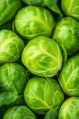 Wall Mural - Macro shot of the texture of a brussels sprouts interior showcasing the vibrant green layers and delicate textures 