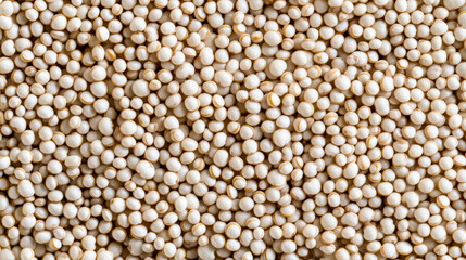 Wall Mural - Macro shot of the texture of quinoa displaying the tiny round grains with a creamy white hue and subtle ridges 