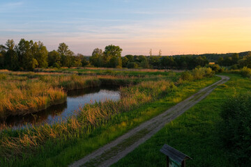 Wall Mural - Sonnenuntergang im Vogelschutzgebiet NSG Garstadt bei Heidenfeld im Landkreis Schweinfurt, Unterfranken, Bayern, Deutschland