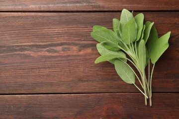 Poster - Green sage leaves on wooden table, top view. Space for text