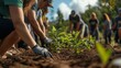 © Prostock-studio - Volunteers are planting young trees together in a forested area, working collaboratively under a clear blue sky on a community service day.