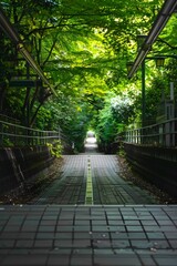 Poster - Pathway Through Green Trees in Japan