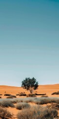 Sticker - Lone Tree in Desert Landscape